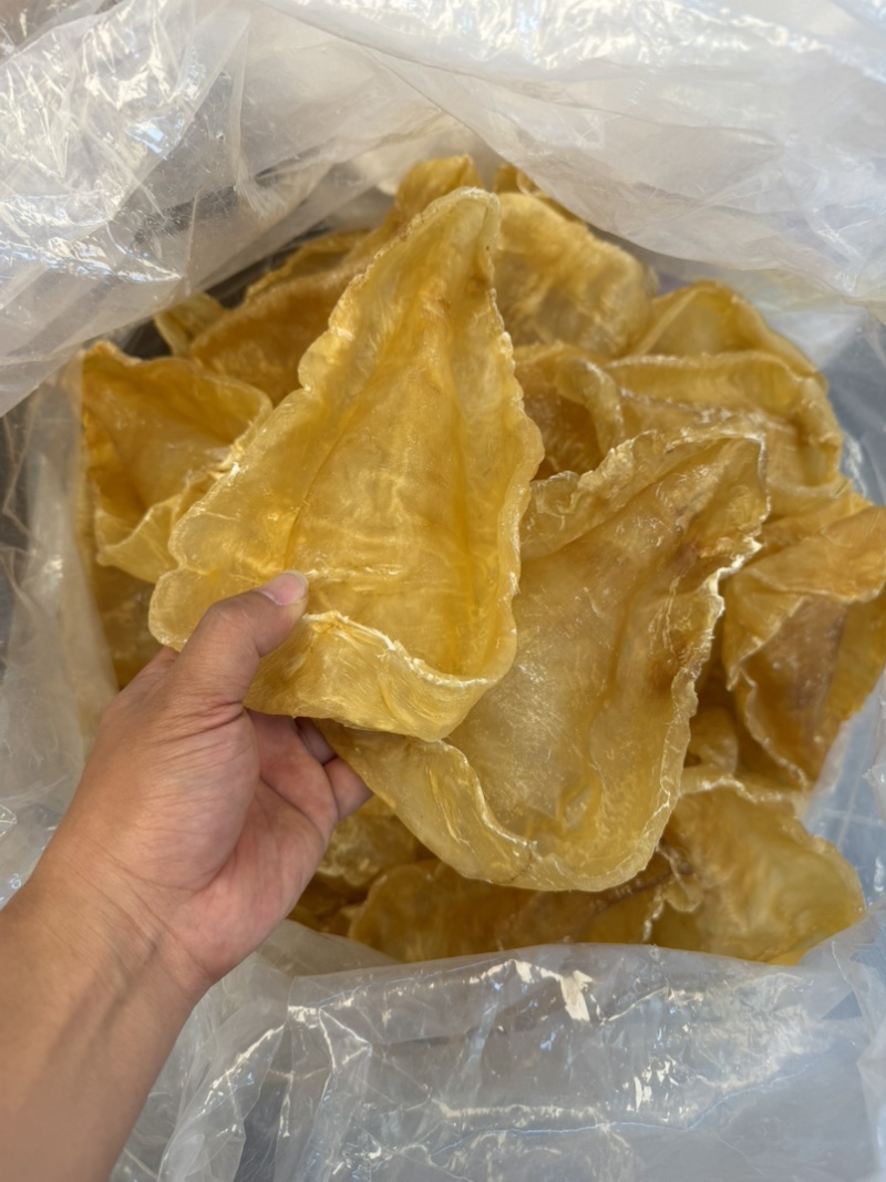 斗湖胶斗湖公鳘鱼胶养胃鱼胶足干斗湖鱼胶