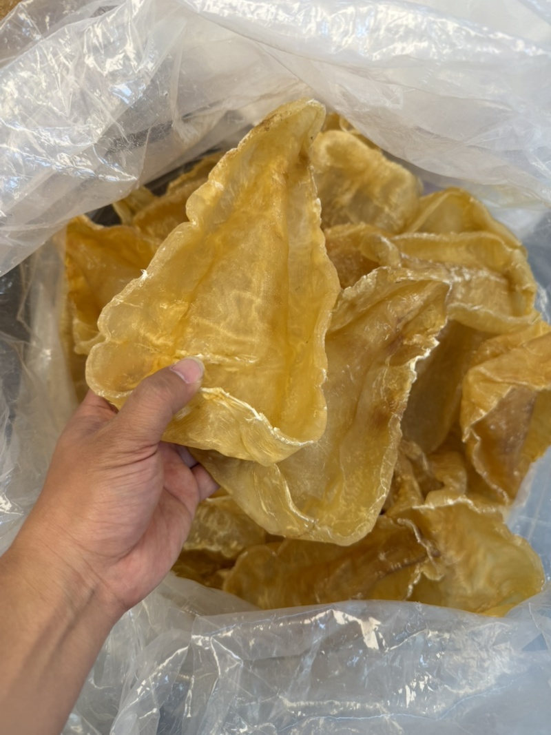斗湖胶斗湖公鳘鱼胶养胃鱼胶足干斗湖鱼胶