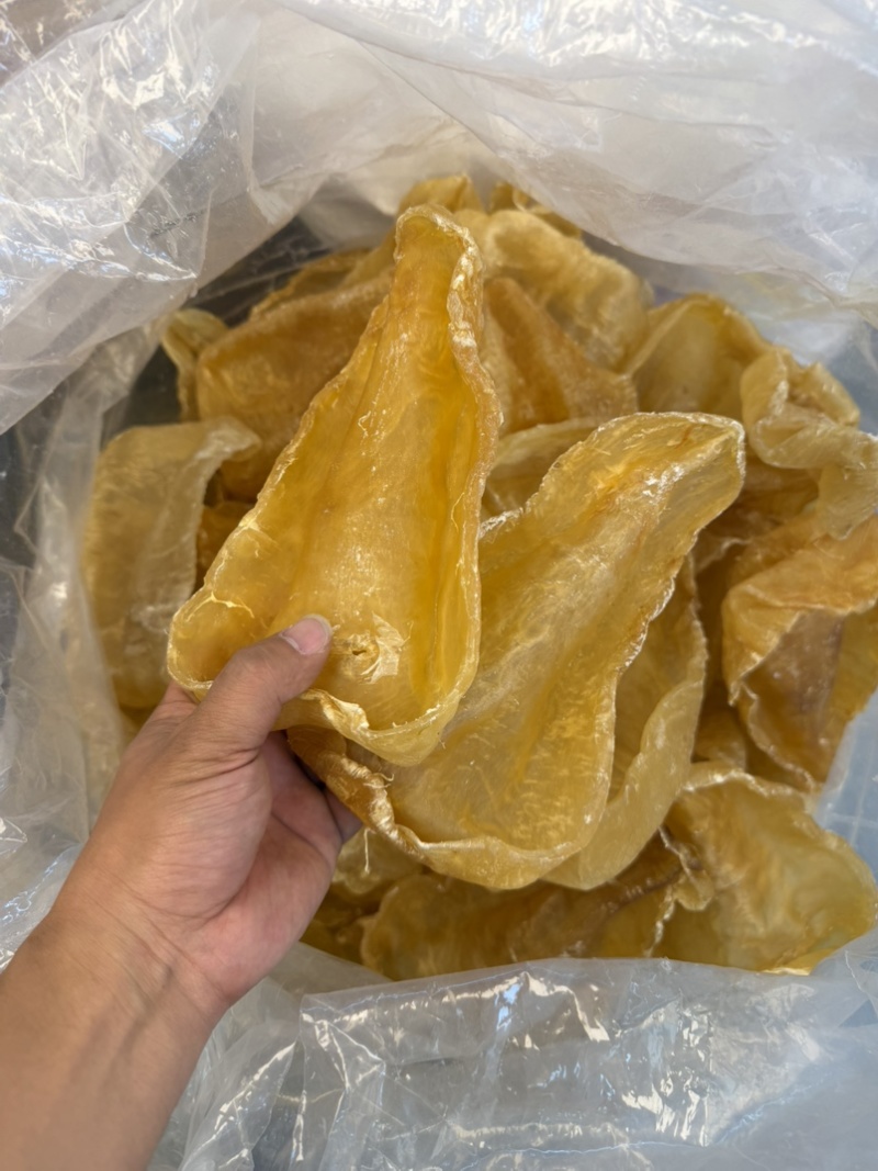 斗湖胶斗湖公鳘鱼胶养胃鱼胶足干斗湖鱼胶