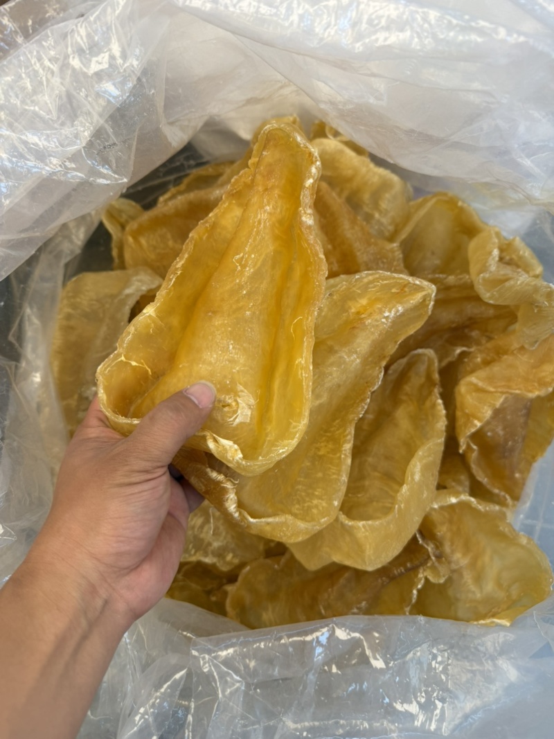 斗湖胶斗湖公鳘鱼胶养胃鱼胶足干斗湖鱼胶