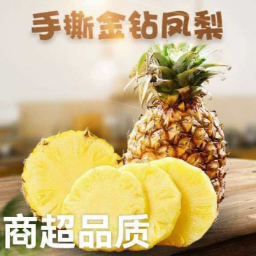 海南凤梨