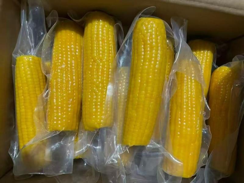 云南水果玉米，量大从优，产地直供，价格优惠