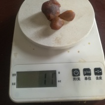 鸡宝1x3棵，鸡宝1x2棵，任选