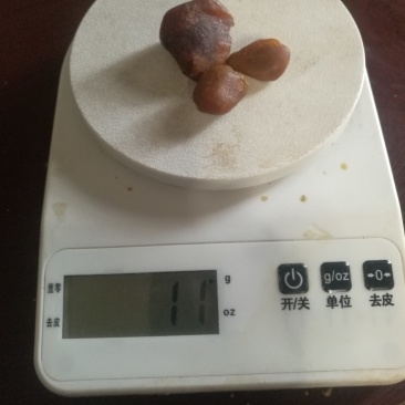 鸡宝1x3棵，鸡宝1x2棵，任选