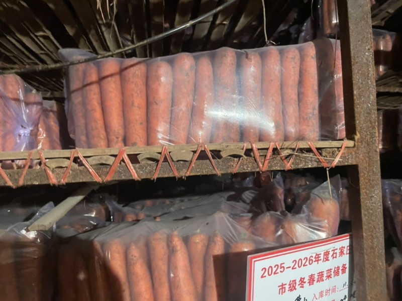 产地直销胡萝卜价格便宜电商渠道走货货源海量