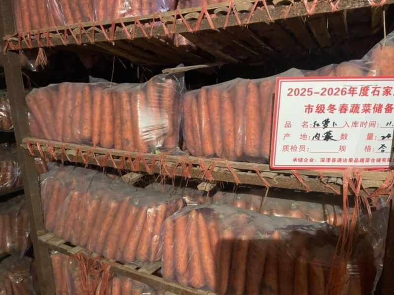 产地直销胡萝卜价格便宜电商渠道走货货源海量