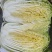 精品黄心大白菜