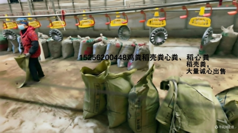 有机肥，家禽粪便干鸡粪只有稻壳跟鸡粪价格可聊诚意出售