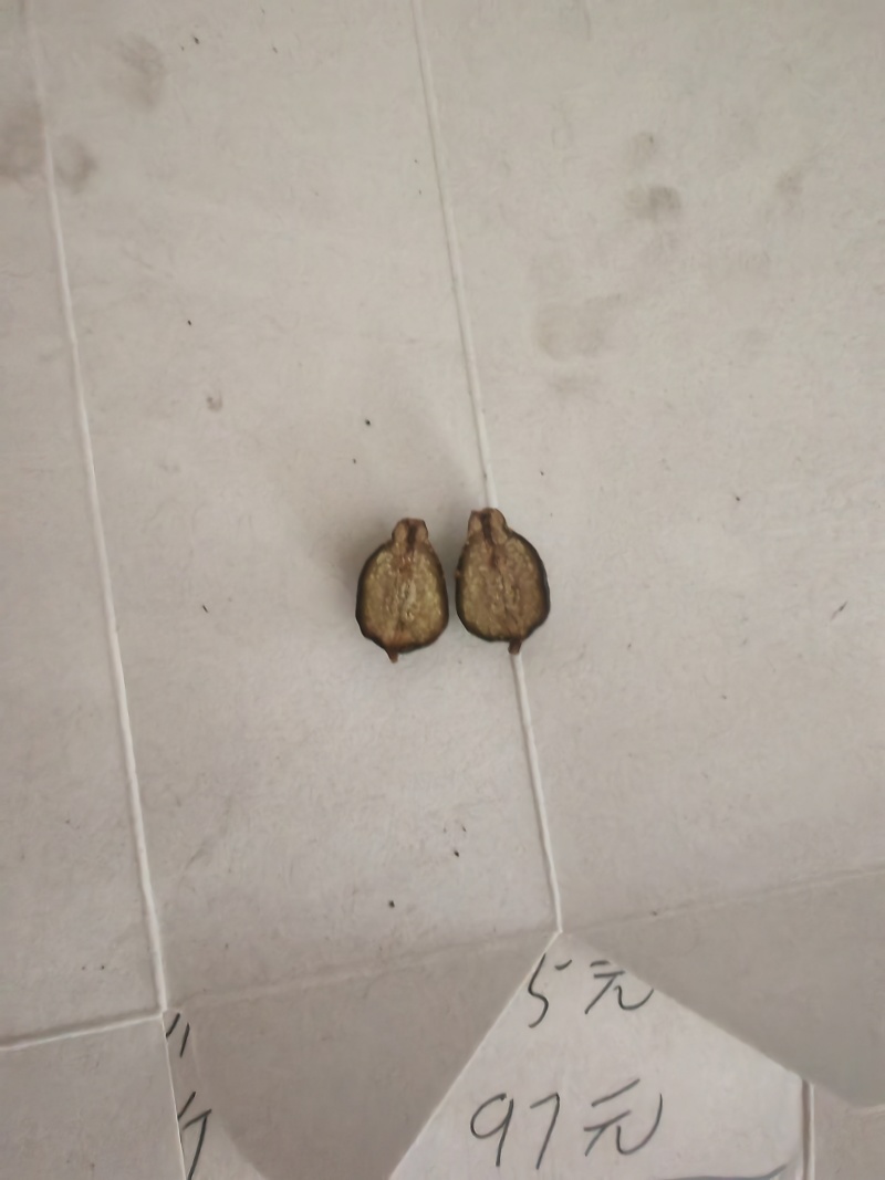 精品柚子枳实