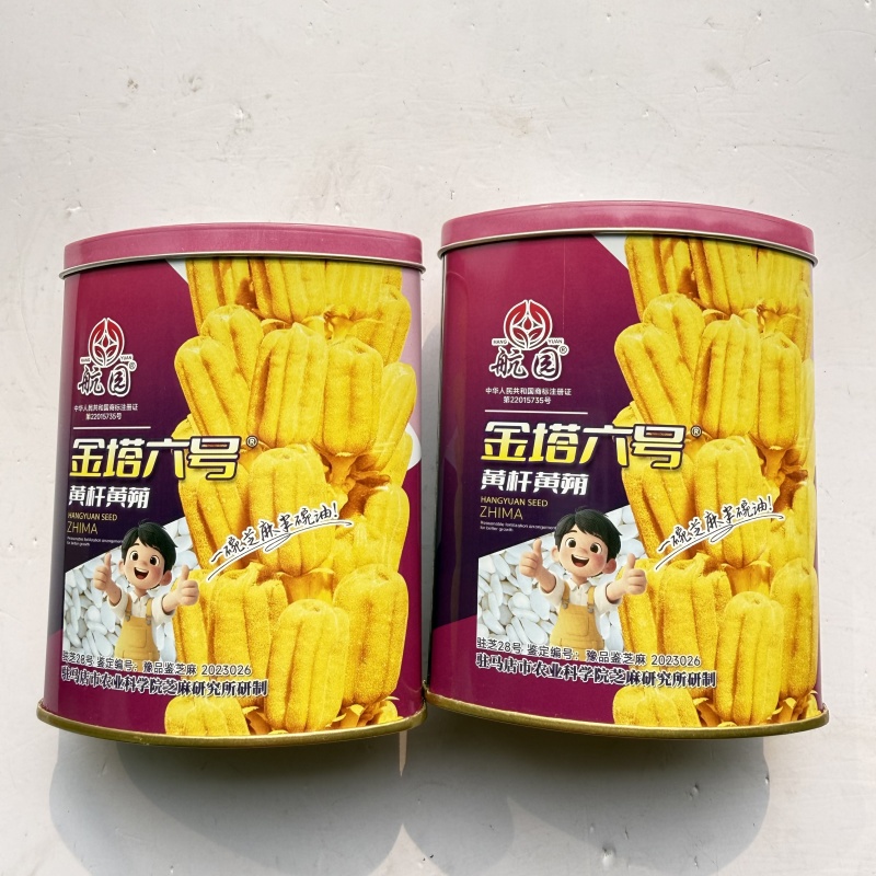 矮脚黄金一条鞭芝麻种黄杆结朔多喷香白芝麻种原装200克