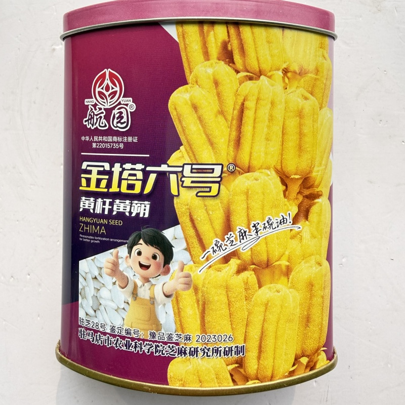 矮脚黄金一条鞭芝麻种黄杆结朔多喷香白芝麻种原装200克