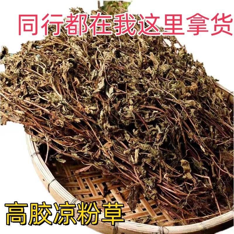 福建高胶凉粉草仙草干仙草纯叶子黑凉粉龟苓膏原料批发零售