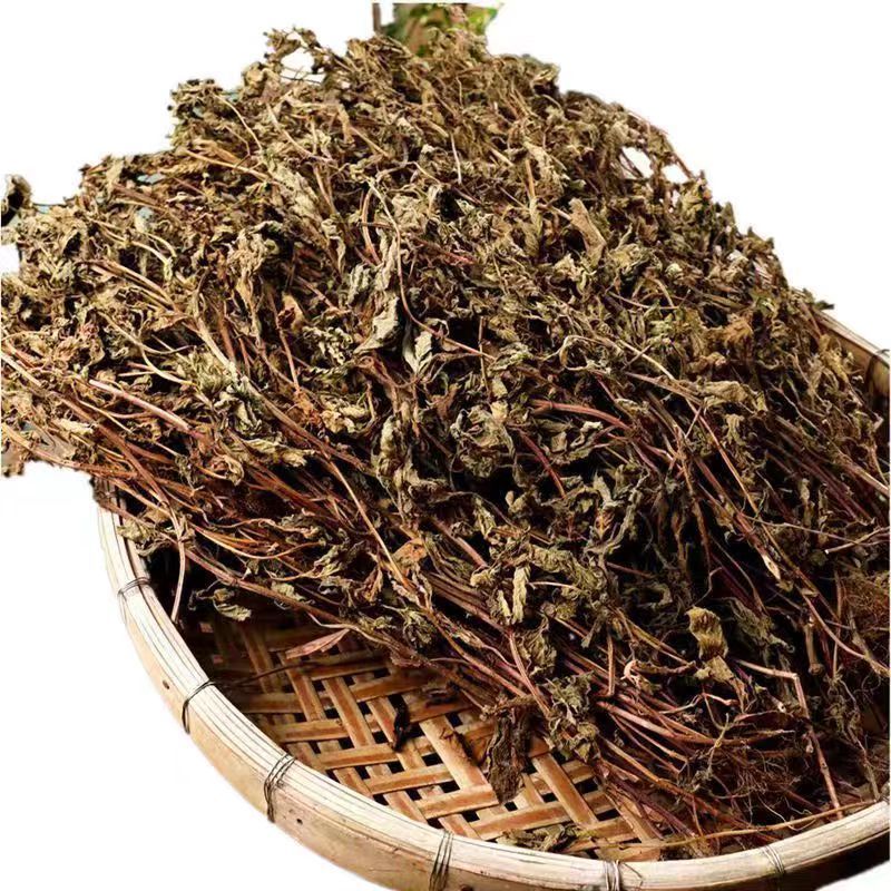 福建高胶凉粉草仙草干仙草纯叶子黑凉粉龟苓膏原料批发零售