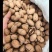 各种干果