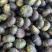 贝贝南瓜一件代发对接各大电商平台