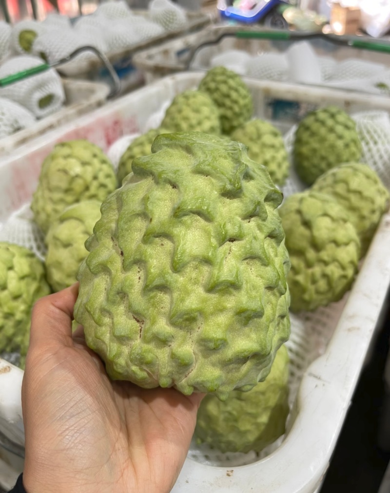 凤梨释迦果源头直发