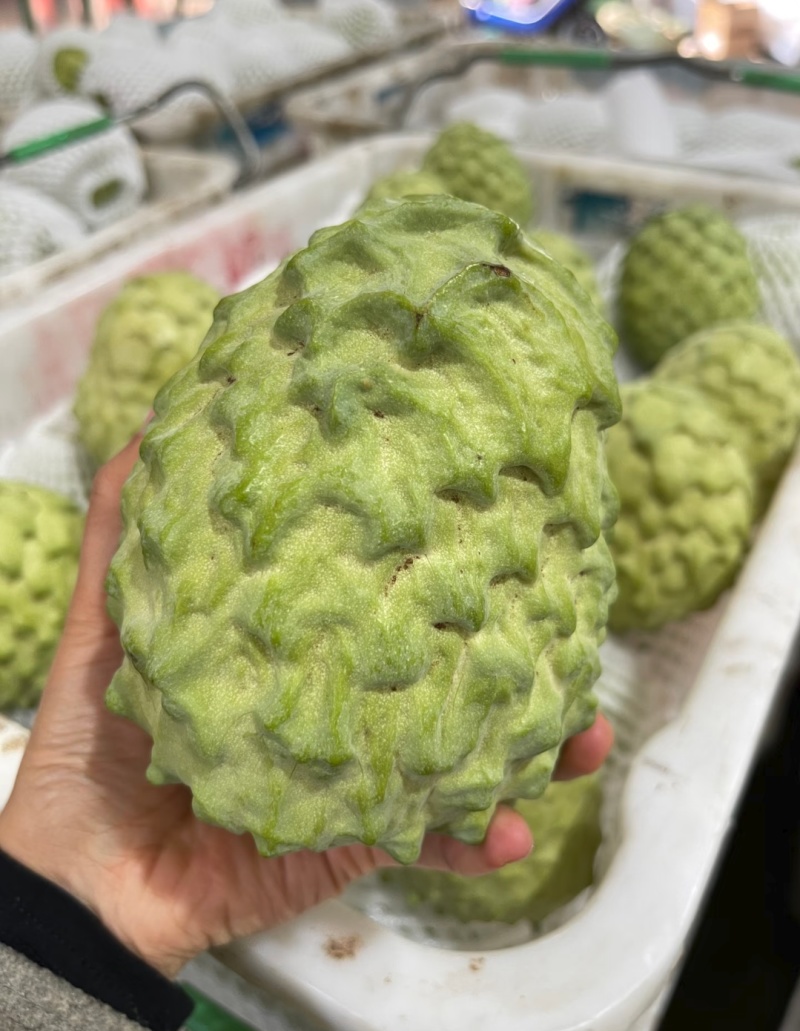 凤梨释迦果源头直发