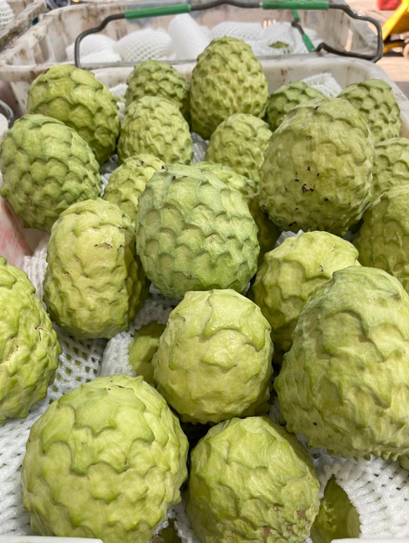 凤梨释迦果源头直发