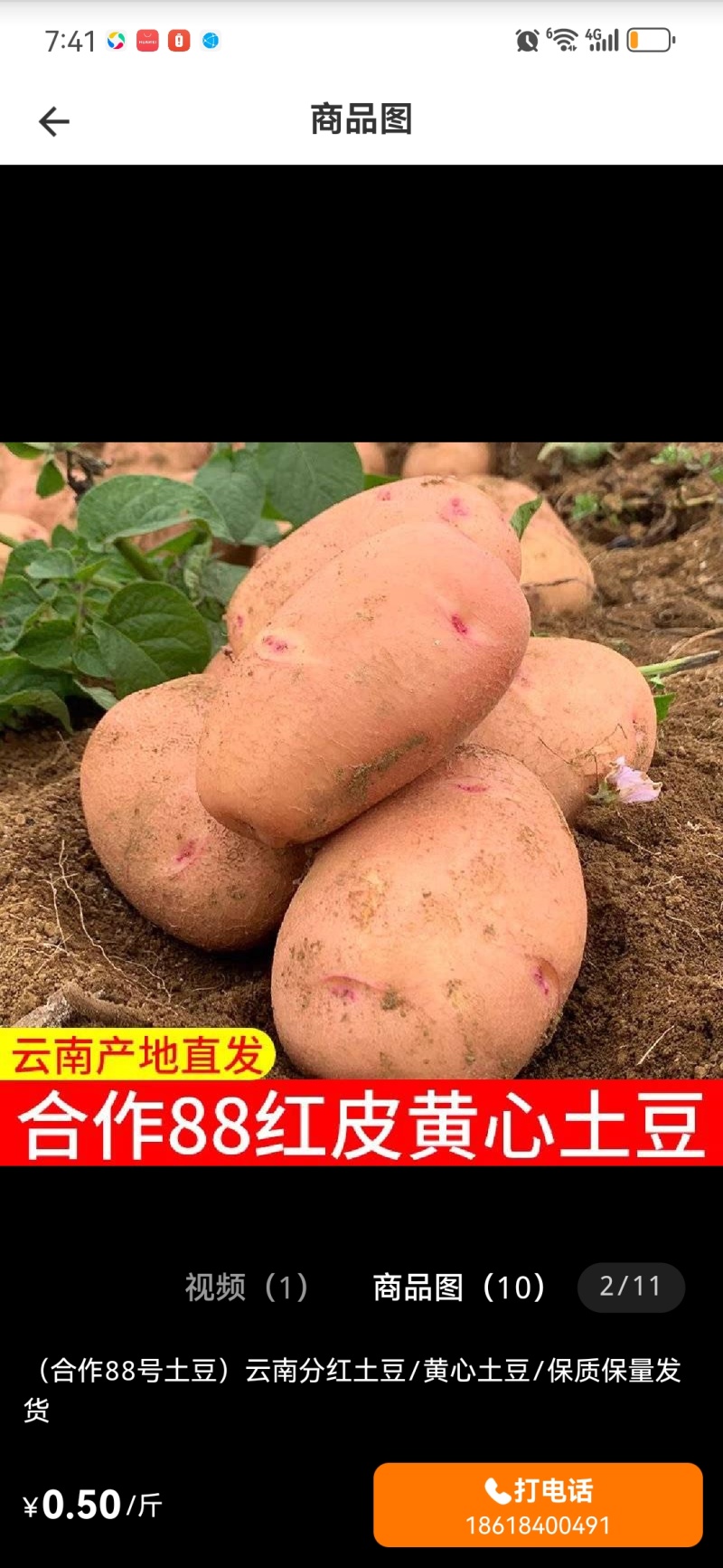 精选云南合作88号土豆常年大量供应保质保量对接全国