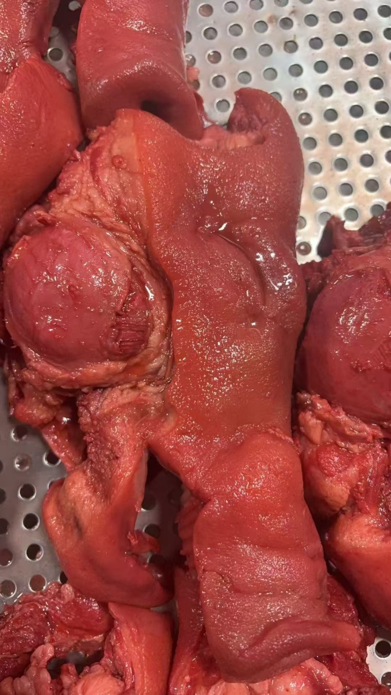 猪头肉熟猪头肉品质高价格好厂家直销长期供货欢迎来电