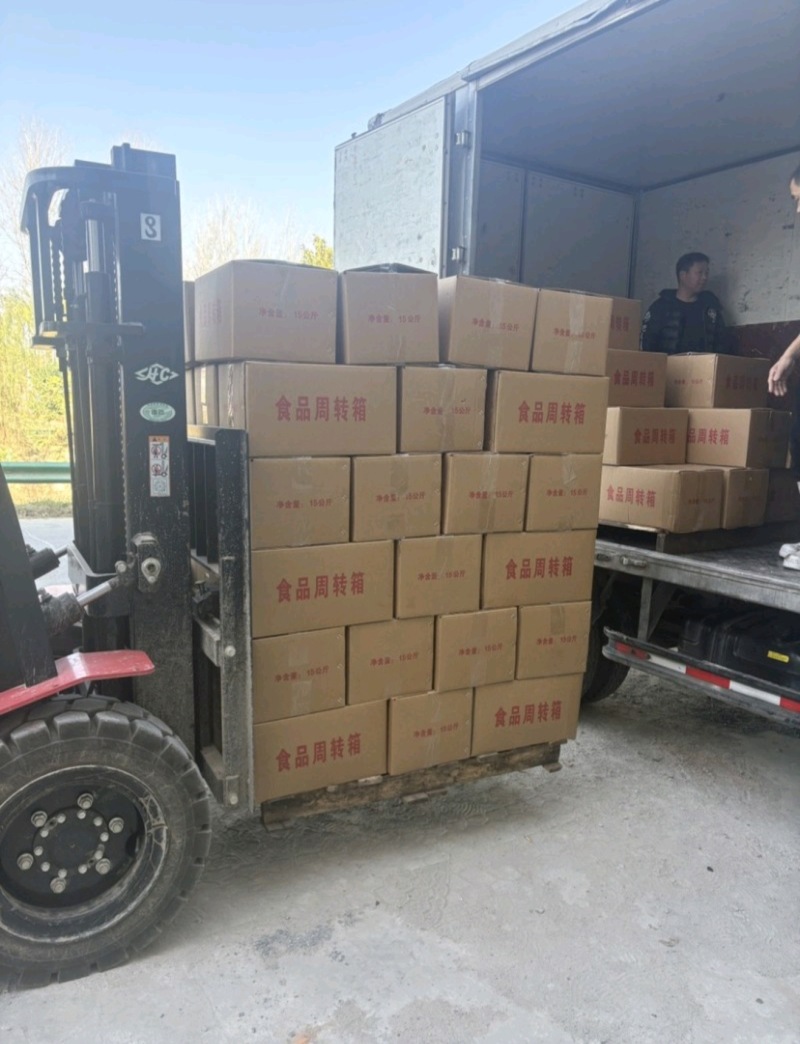 猪耳朵熟猪耳朵现卤现发新鲜直达厂家直销欢迎咨询