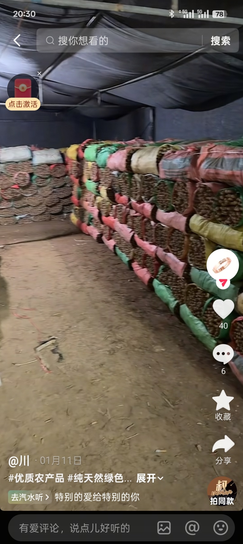 浚县山药苗一手货源产地直发大量供应长期有货