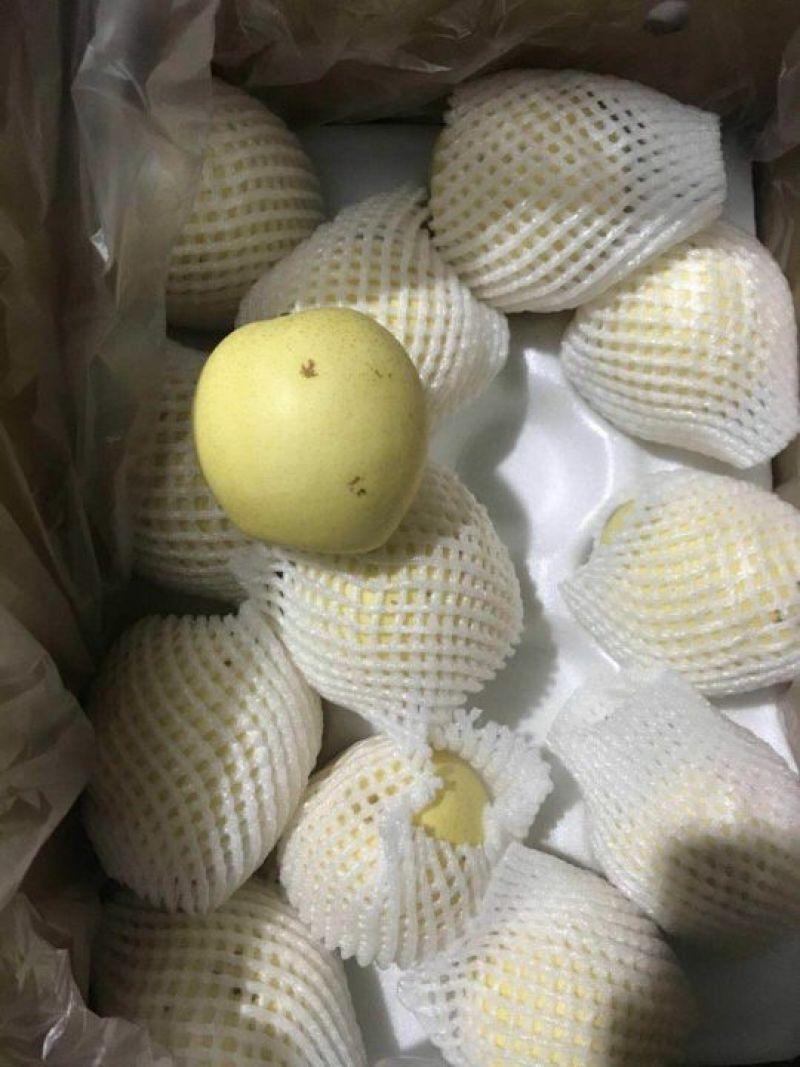 [精品]河北皇冠梨，大量上市中，产地直发，价格优惠