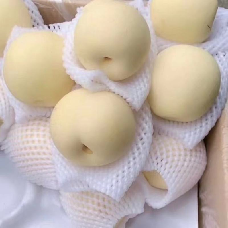 [精品]河北皇冠梨，大量上市中，产地直发，价格优惠