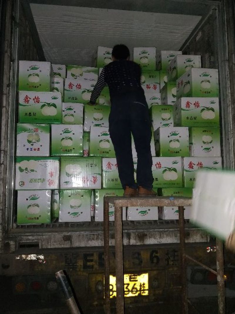 河北赵县鸭梨，小鸭梨，口感脆甜，量大优惠，品质保证