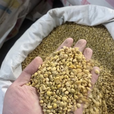 精品碎黄豆上地施肥猪牛羊养殖专用