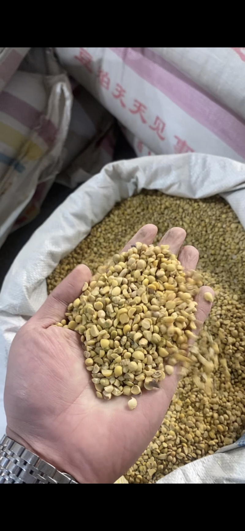 精品碎黄豆上地施肥猪牛羊养殖专用