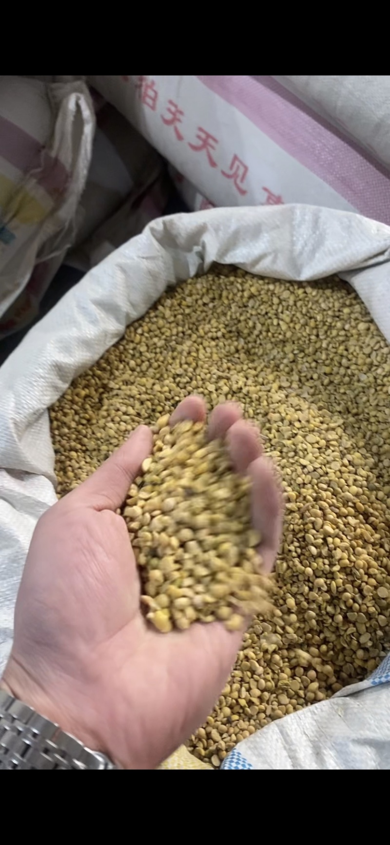 精品碎黄豆上地施肥猪牛羊养殖专用
