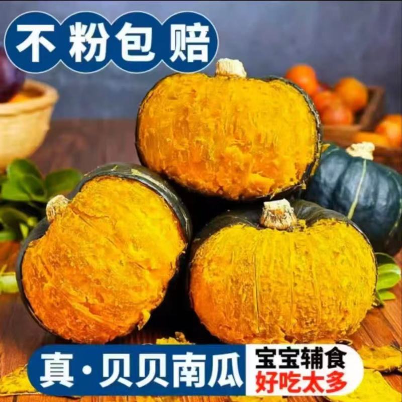 广西贝贝南瓜，产地直发，一件代发，对接全国电商，包粉包糯