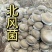 北风菌，又名梨涡菌