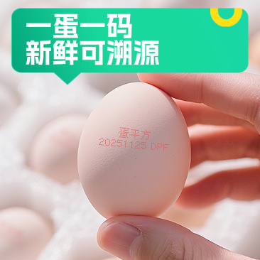 可生食鸡蛋