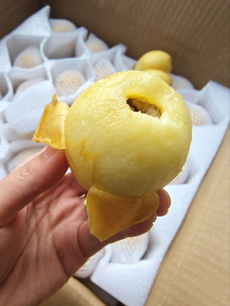 莆田三月白枇杷