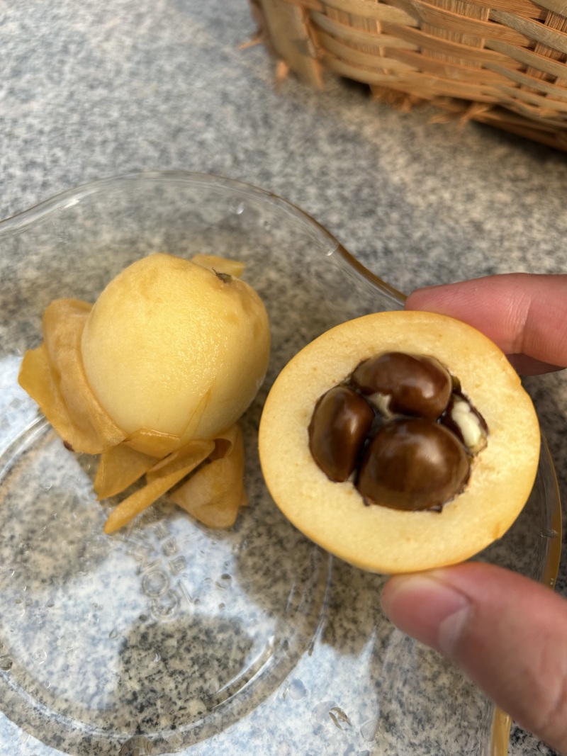 莆田三月白枇杷