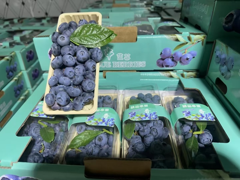 蓝莓串果