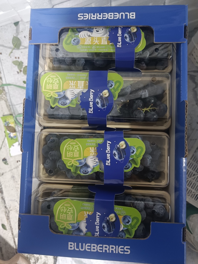 蓝莓串果