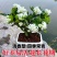 正宗七里香海桐盆栽浓香型驱蚊花卉绿植四季阳台庭院植物耐寒