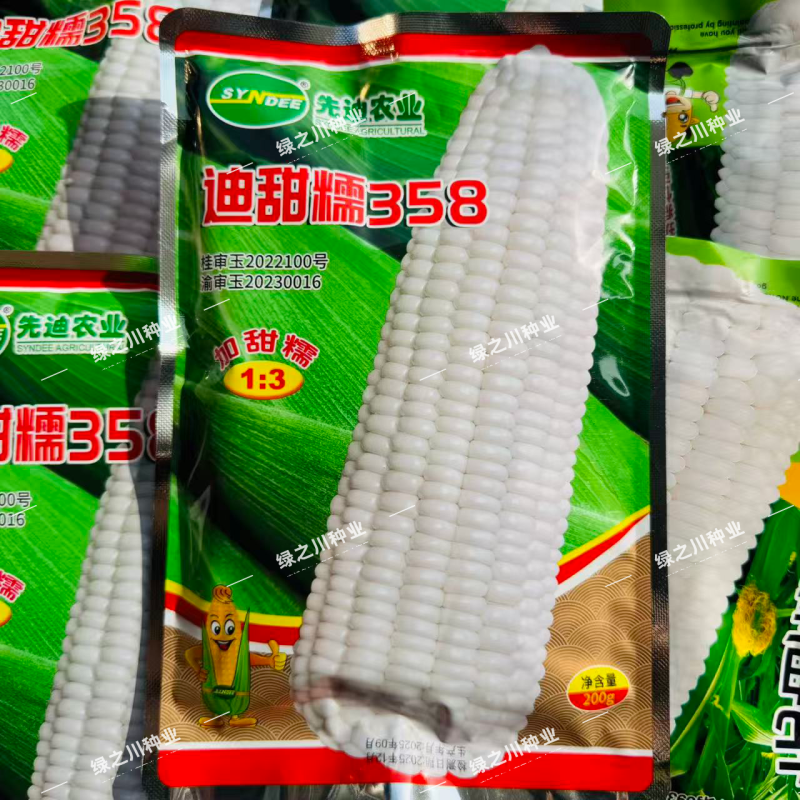 迪甜糯358玉米种子大棒甜加糯玉米种籽先迪早熟鲜食加甜糯