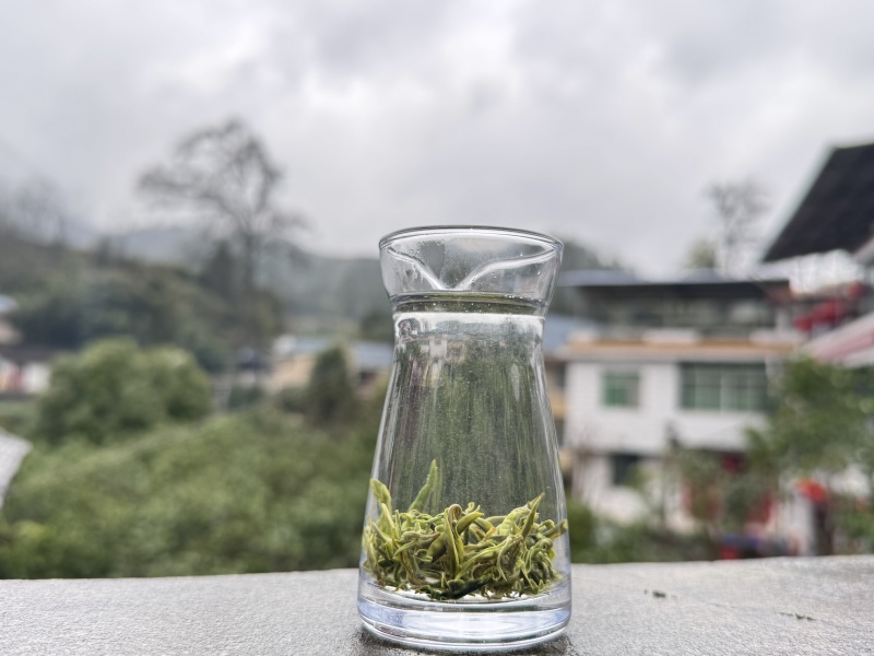 湘西黄金茶，爱喝茶的可以找我哟。