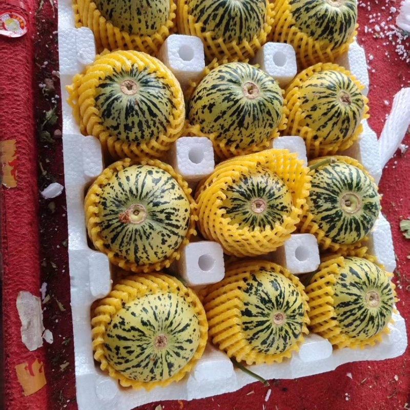 花美人甜瓜一件代发**电商卖家产地代发长期合作