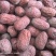 新疆红枣原产地虎皮枣食品厂馅料枣一手货饲料枣大量