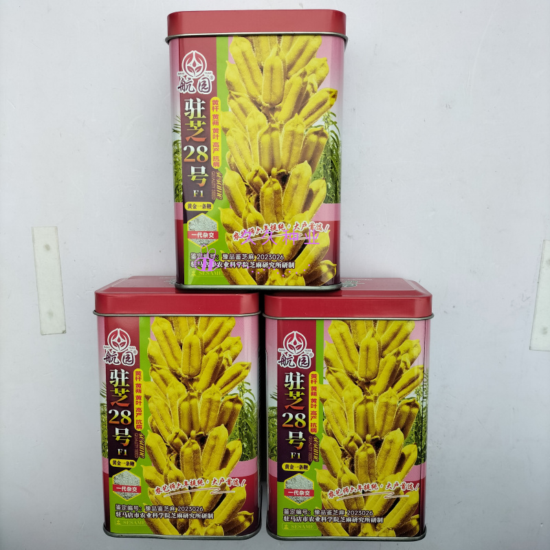 驻芝28号白芝麻种子优质高产矮株抗病抗倒伏农家春夏