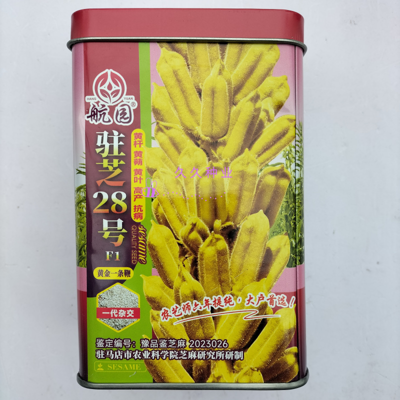 驻芝28号白芝麻种子优质高产矮株抗病抗倒伏农家春夏