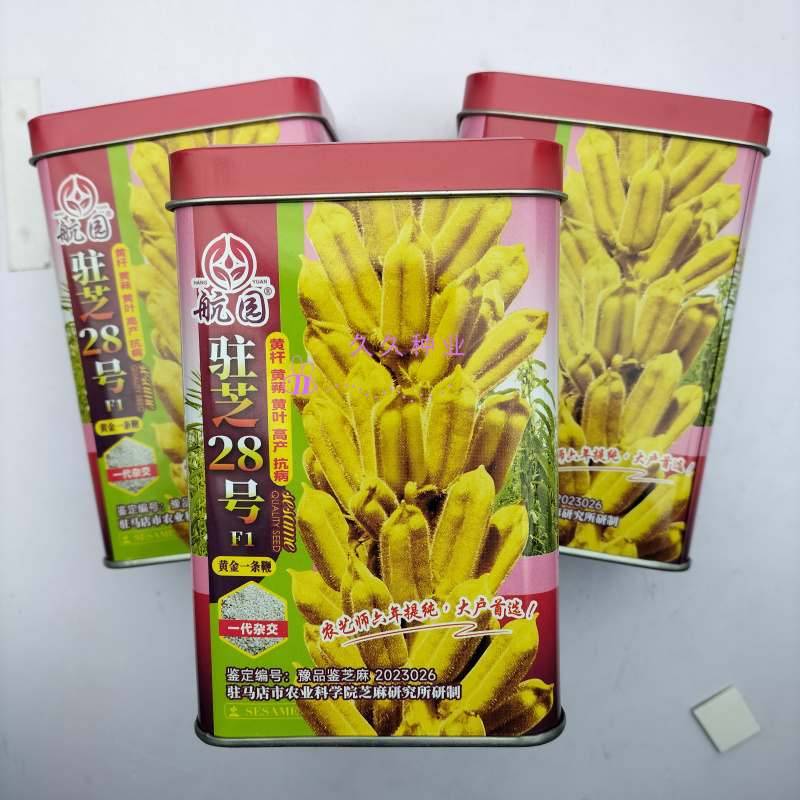 驻芝28号白芝麻种子优质高产矮株抗病抗倒伏农家春夏