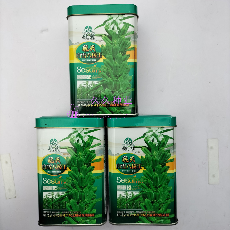 航天白雪八棱王芝麻种子高产黄杆黄蒴黄叶单杆型不倒伏