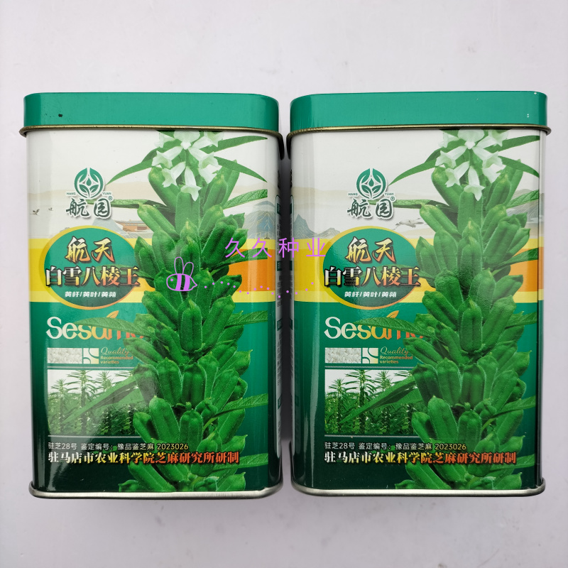 航天白雪八棱王芝麻种子高产黄杆黄蒴黄叶单杆型不倒伏