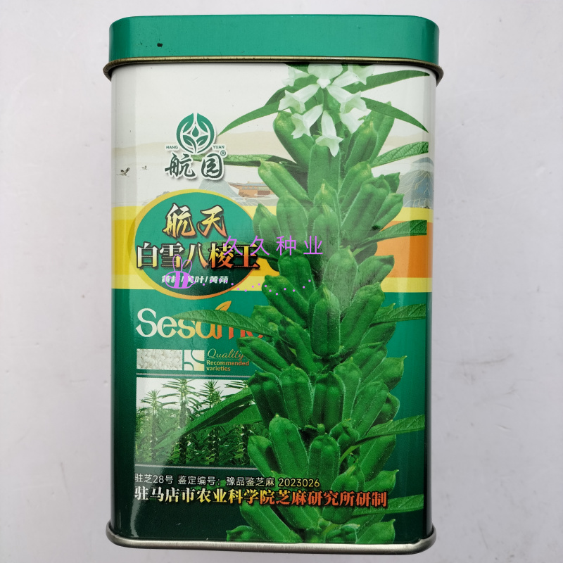 航天白雪八棱王芝麻种子高产黄杆黄蒴黄叶单杆型不倒伏